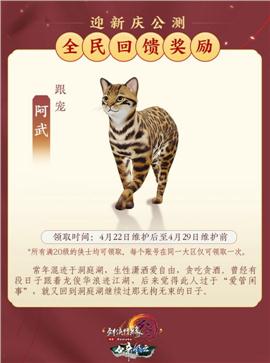 将军殿天龙八部私服